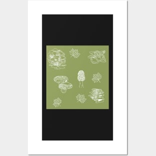 Woodland Mushrooms Sage 1 Posters and Art